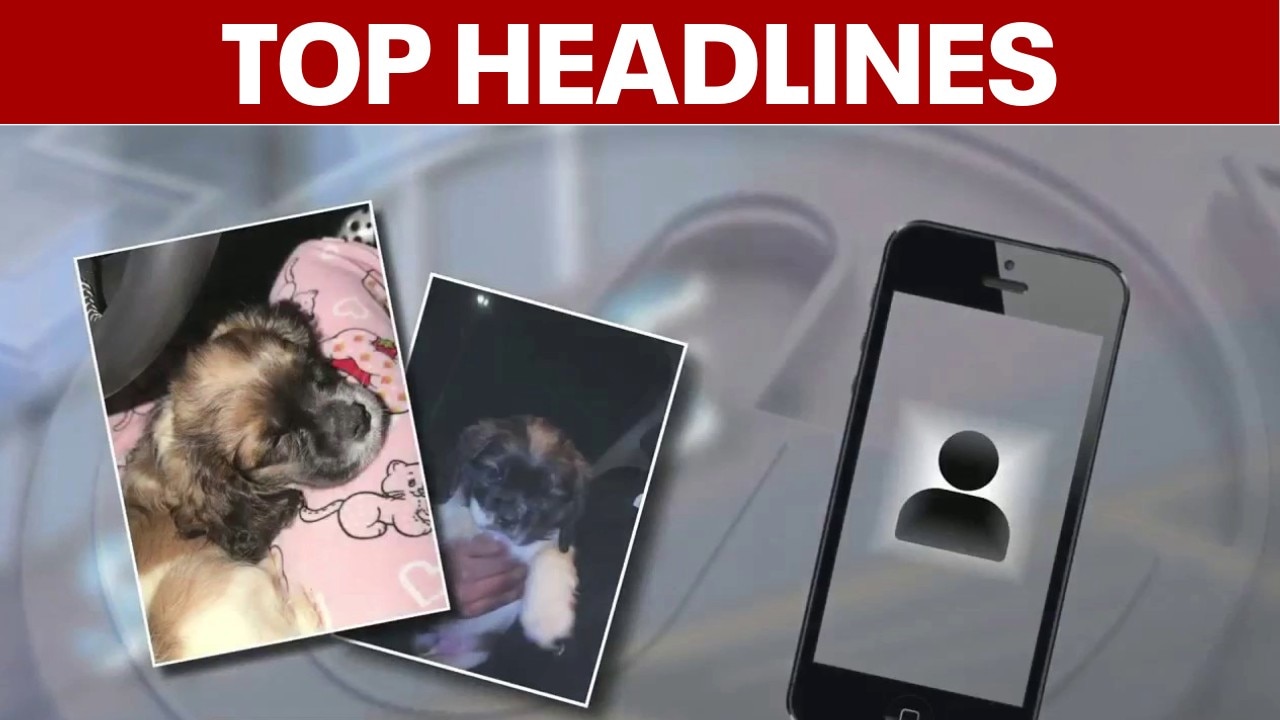 Dog stolen from DC home; Road rage incident leads to stabbing; Hot week ahead for DMV | TOP STORIES 