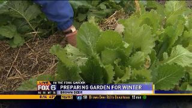 Tips for keeping crops warm during cold temps
