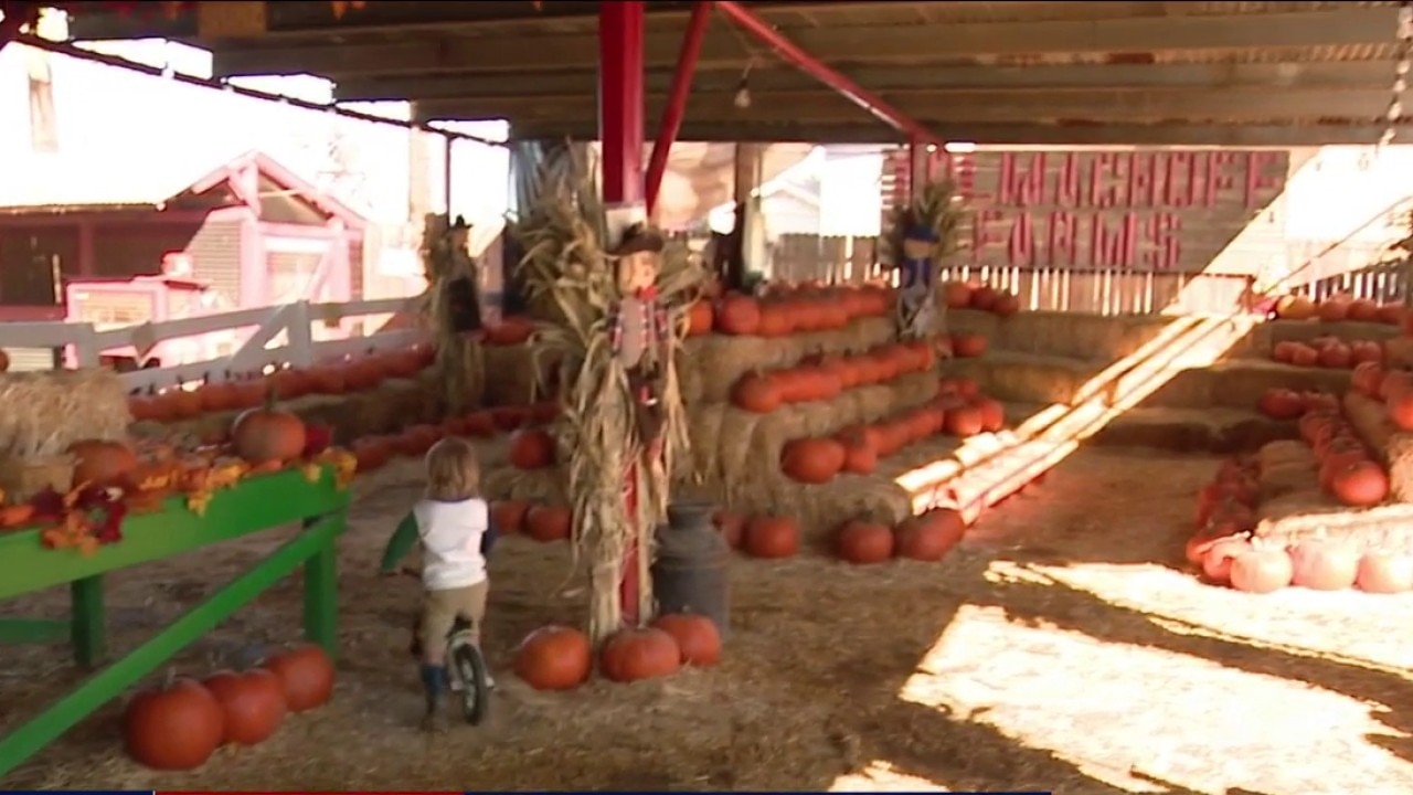 Tolmachoff Farms celebrates fall season 