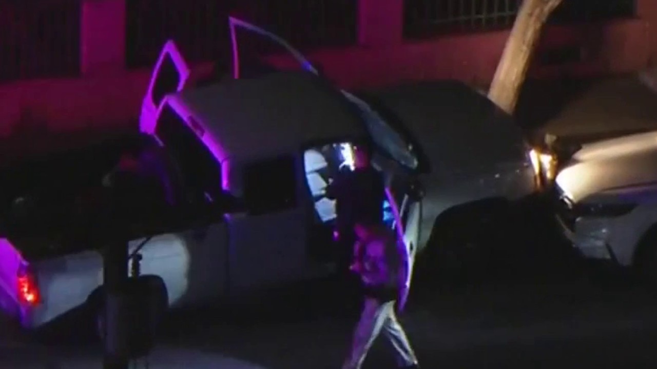 Police chase suspect crashes into tree