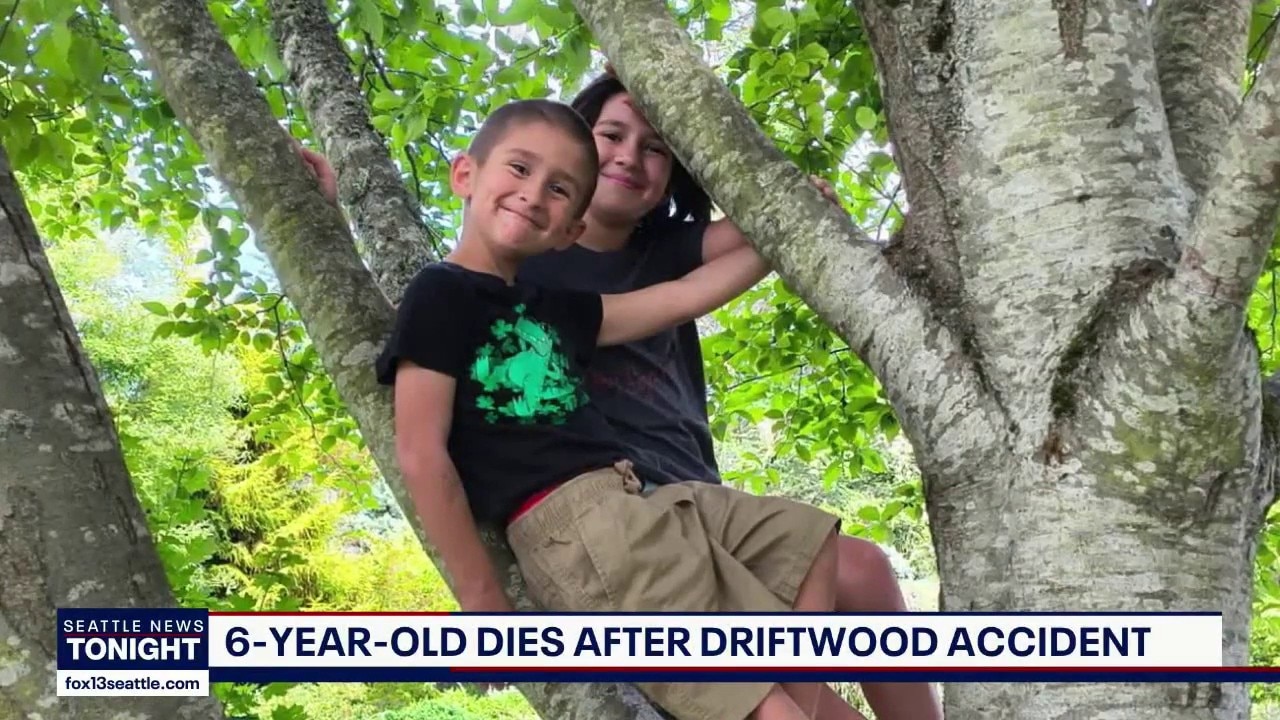 6-year-old dies after driftwood accident in WA
