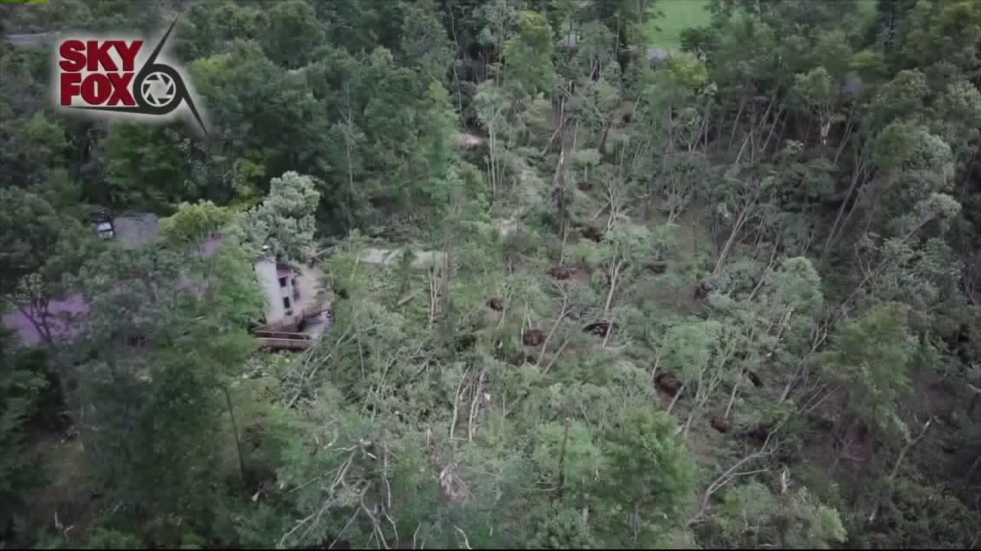 Trees had to be cleared to free couple after storms in Sheboygan County