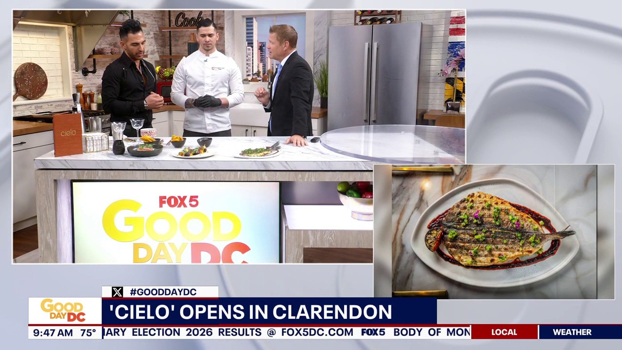 Elevated Latin-Inspired Cuisine at 'Cielo'