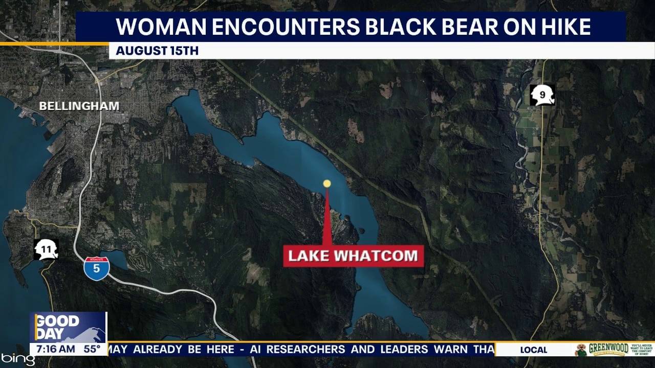 2 injured in bear attack outside of Bellingham, WA