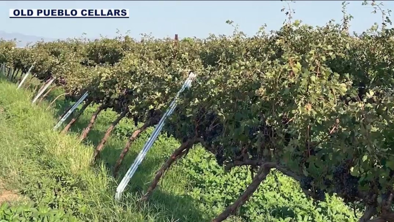 Arizona winery hit by 88 mph winds