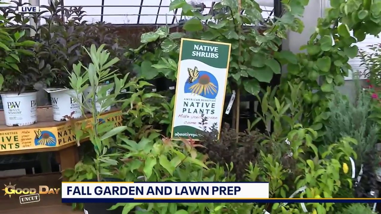 Good Day Uncut: Primex Garden Centter