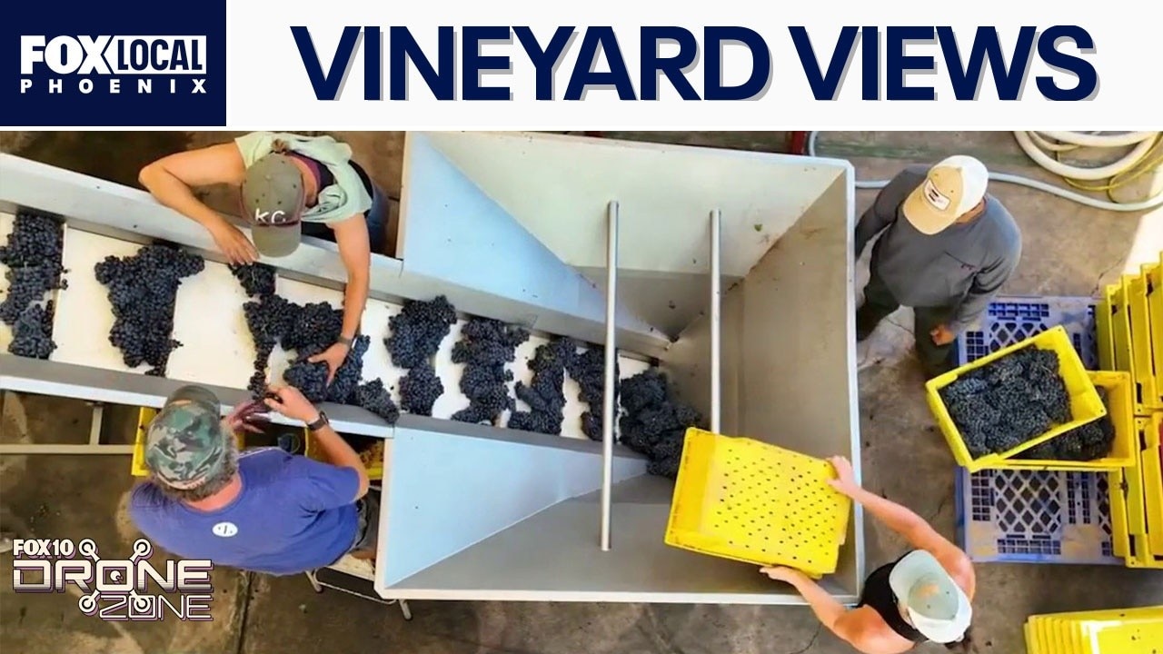 Grape harvest at Dos Cabezas Wineworks | Drone Zone