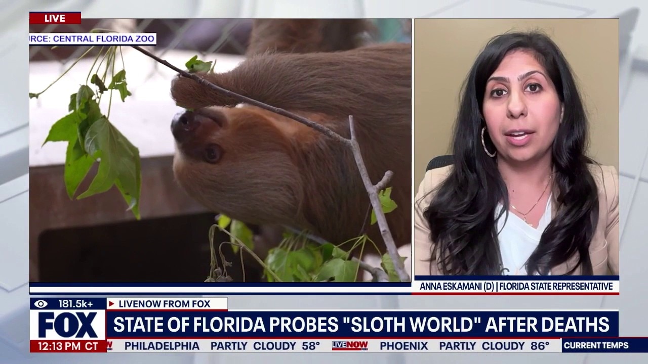 Criminal probe launched into Sloth World Orlando