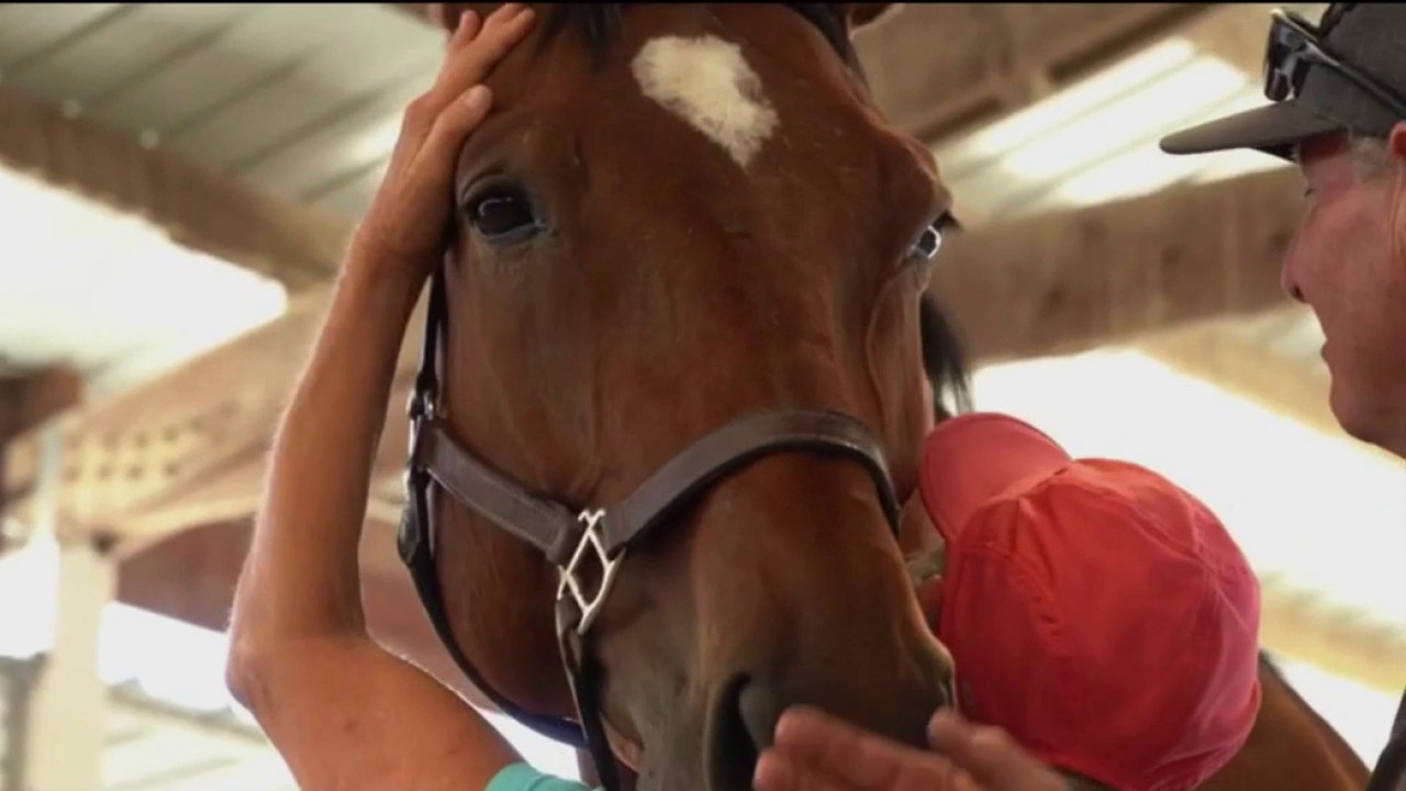 World Alzheimer's Day: How horses can help improve the lives of those impacted by memory loss