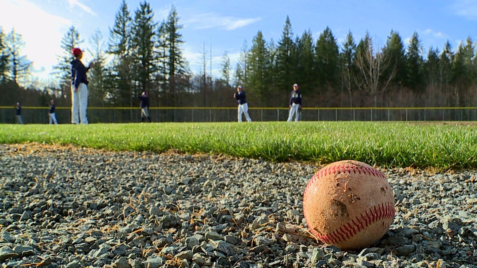 Family and club sports