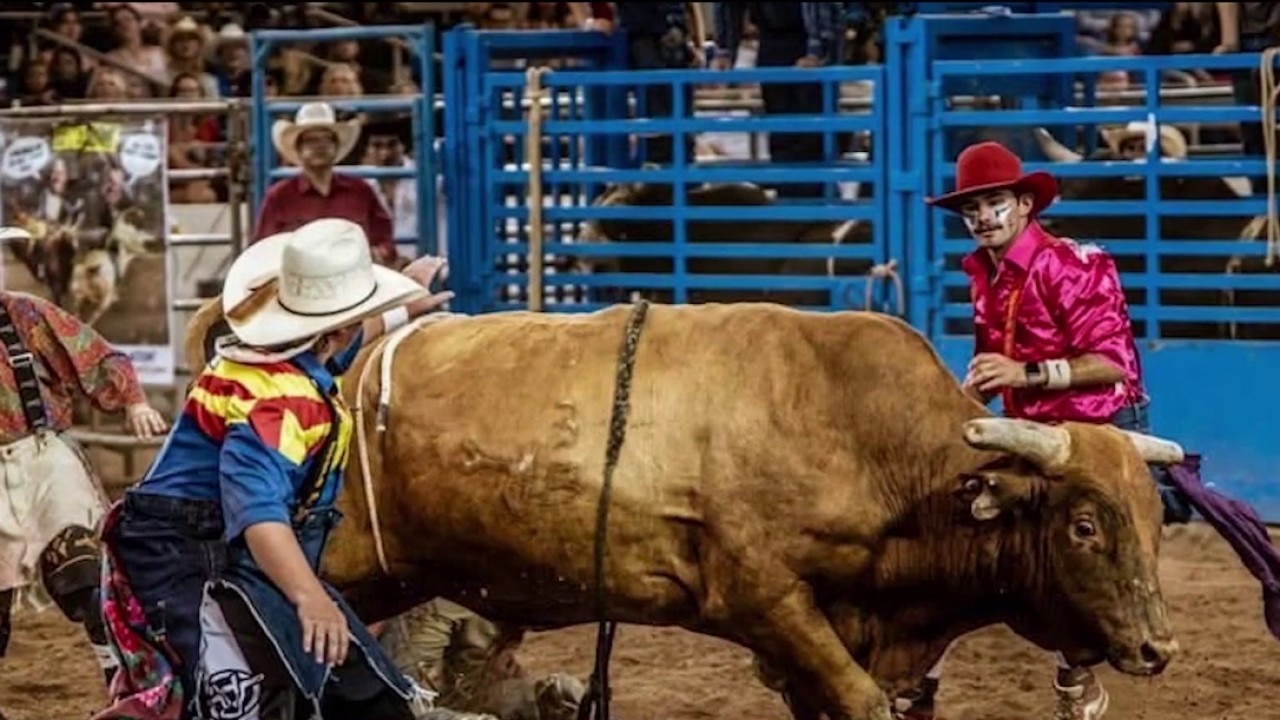 Arizona teen heads to bull fighting world finals