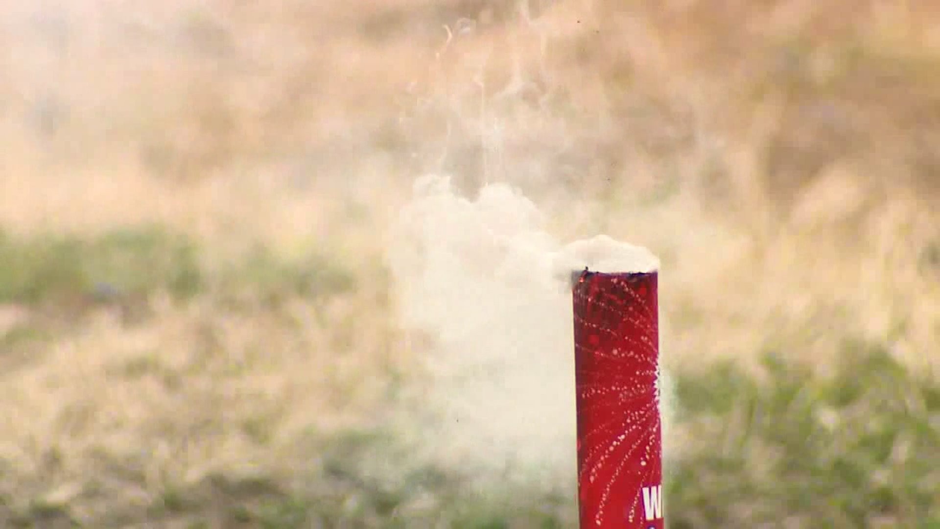 UW SFD fireworks study
