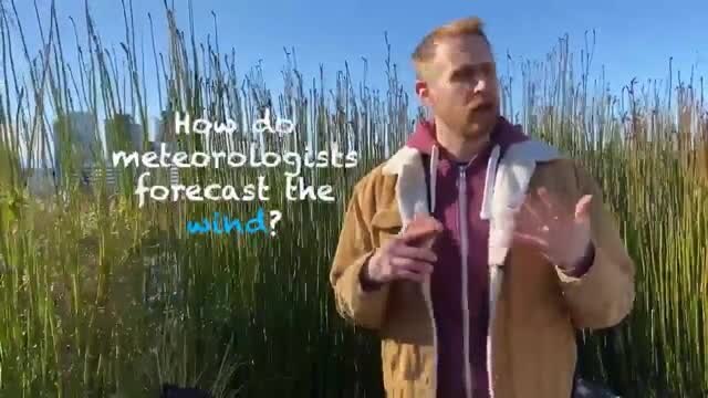 How do meteorologists forecast the wind?
