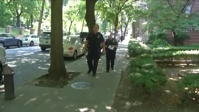 Toddler homicides