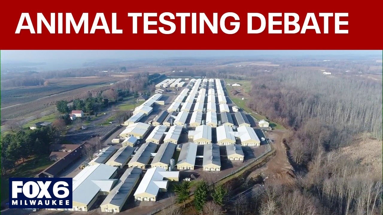 Animal testing debate: Activists march in Upstate New York