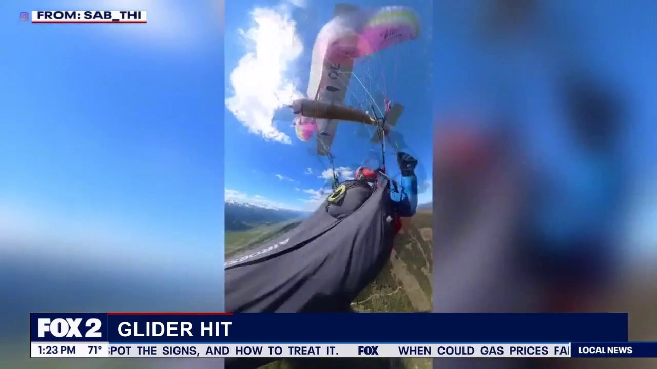 How does this happen? Aviation expert breaks down mid-air collision between pilot and paraglider