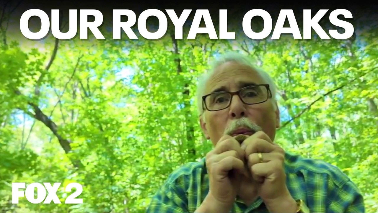 Tenhave Woods in Royal Oak and Freighter Photography | Brother Nature