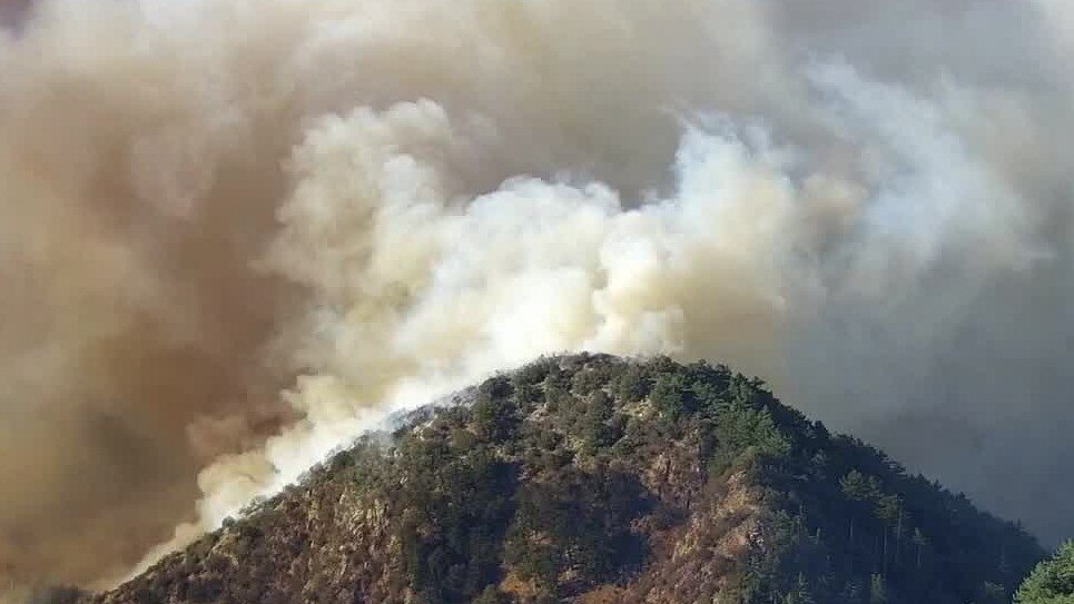 Avoiding LA wildfire donation scammers