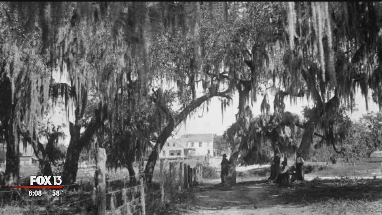 Grave shafts found in Water Street construction