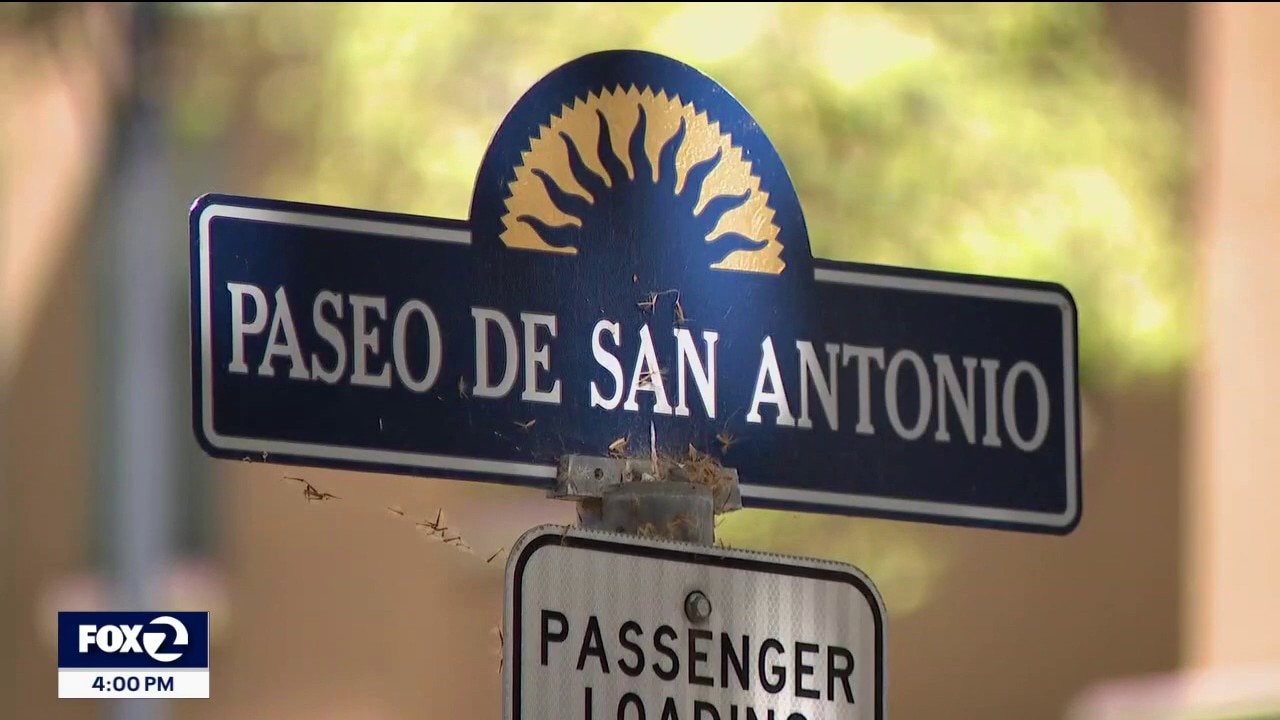 San Jose rideshare driver arrested for allegedly sexually assaulting teen passenger