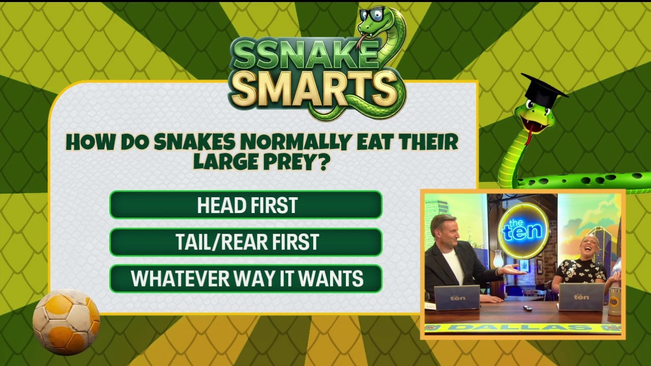 Snoozing Your Alarm & Snake Trivia