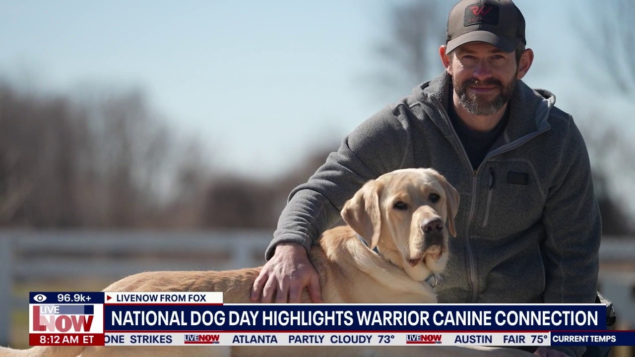 National Dog Day: Highlighting Warrior Canine Connection