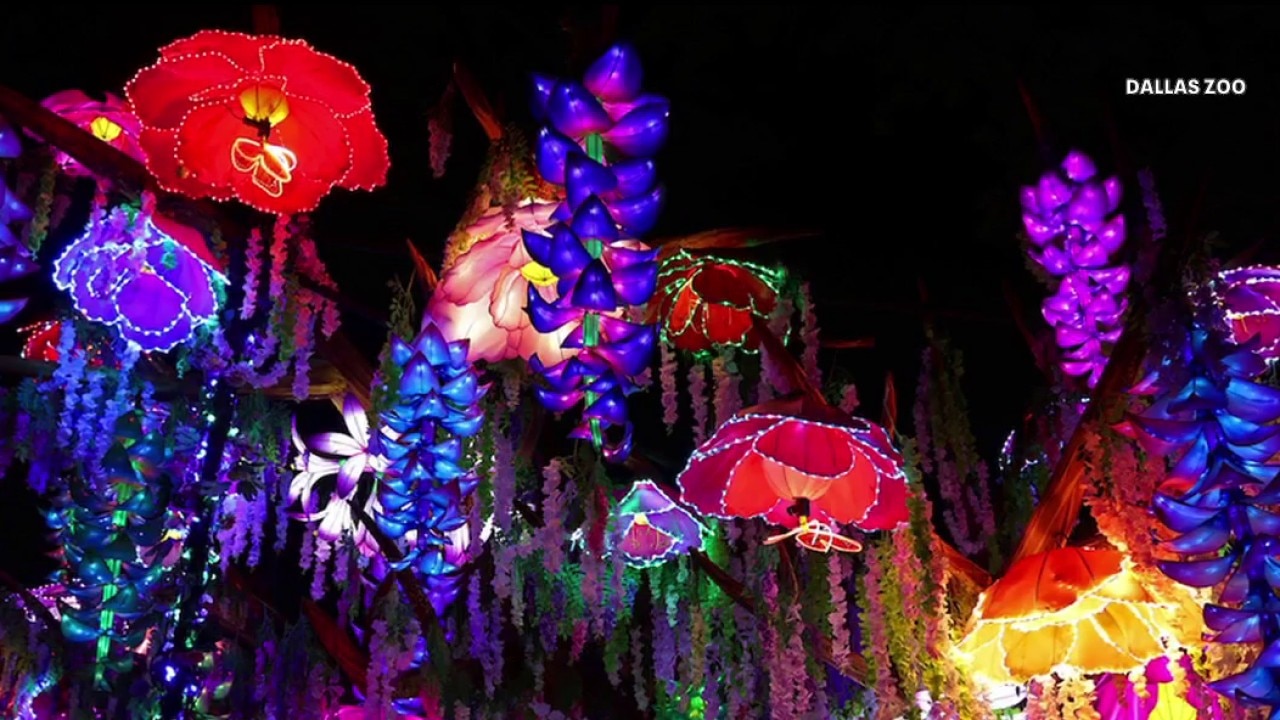 Dallas Zoo Illuminature