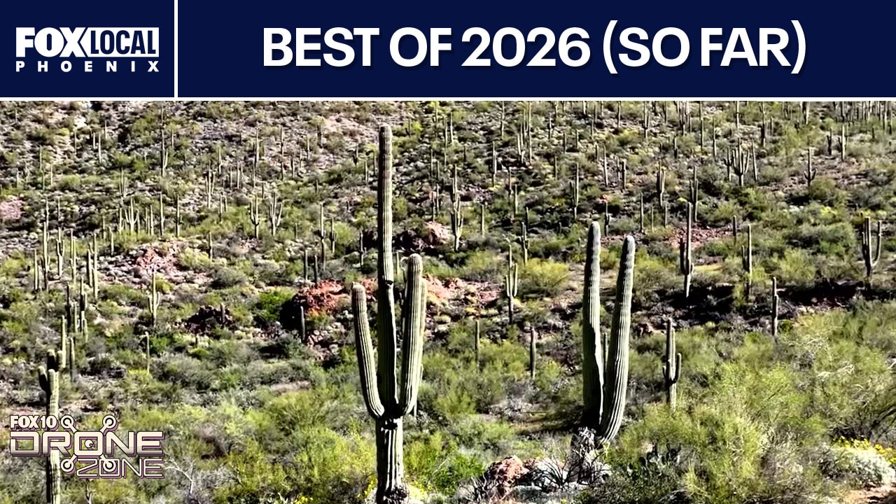 Drone Zone's Best for 2026 (so far) | Drone Zone