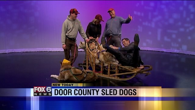 Door County Sled Dogs pay a visit to FOX6 WakeUp News