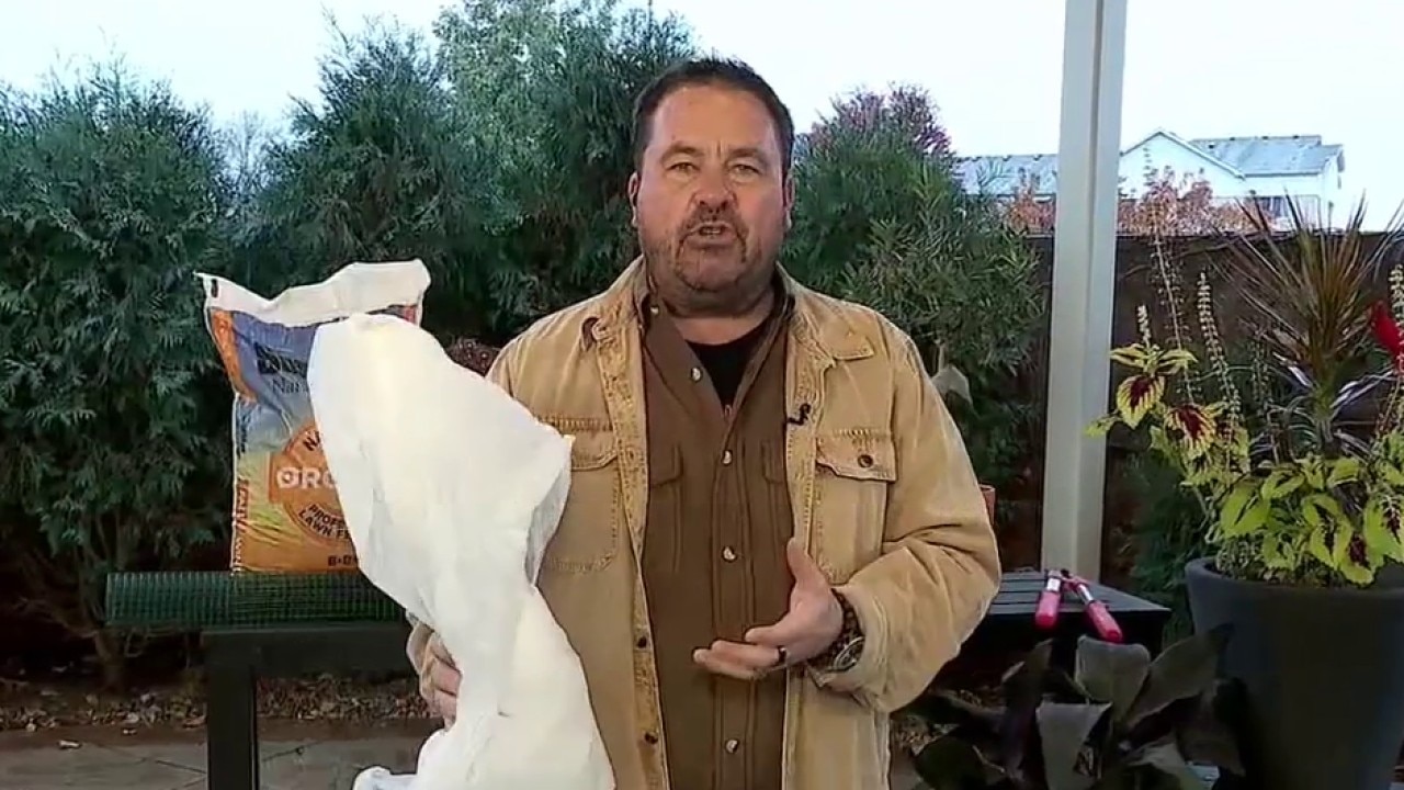 Preparing your garden for frost