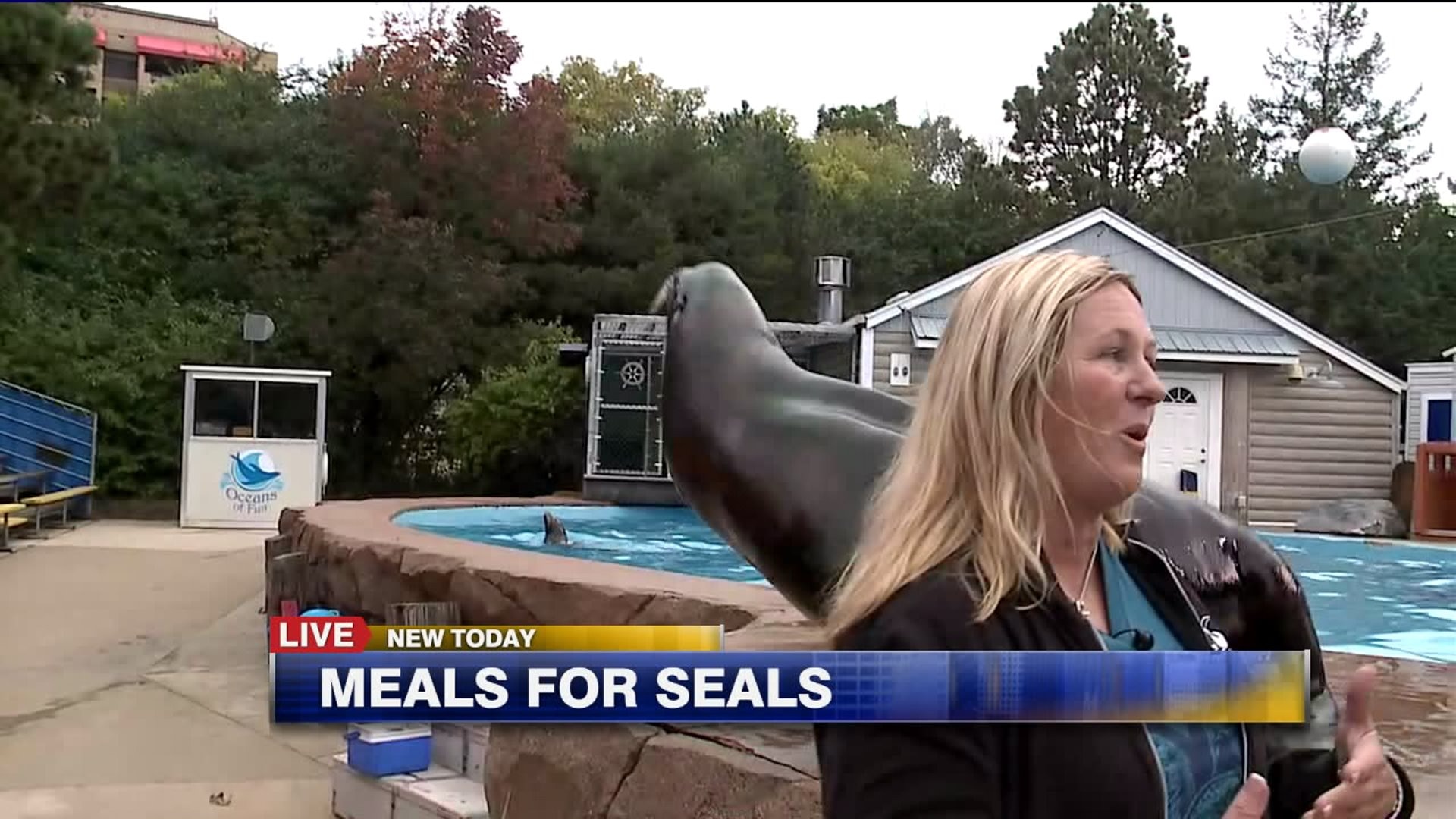 About the seal
