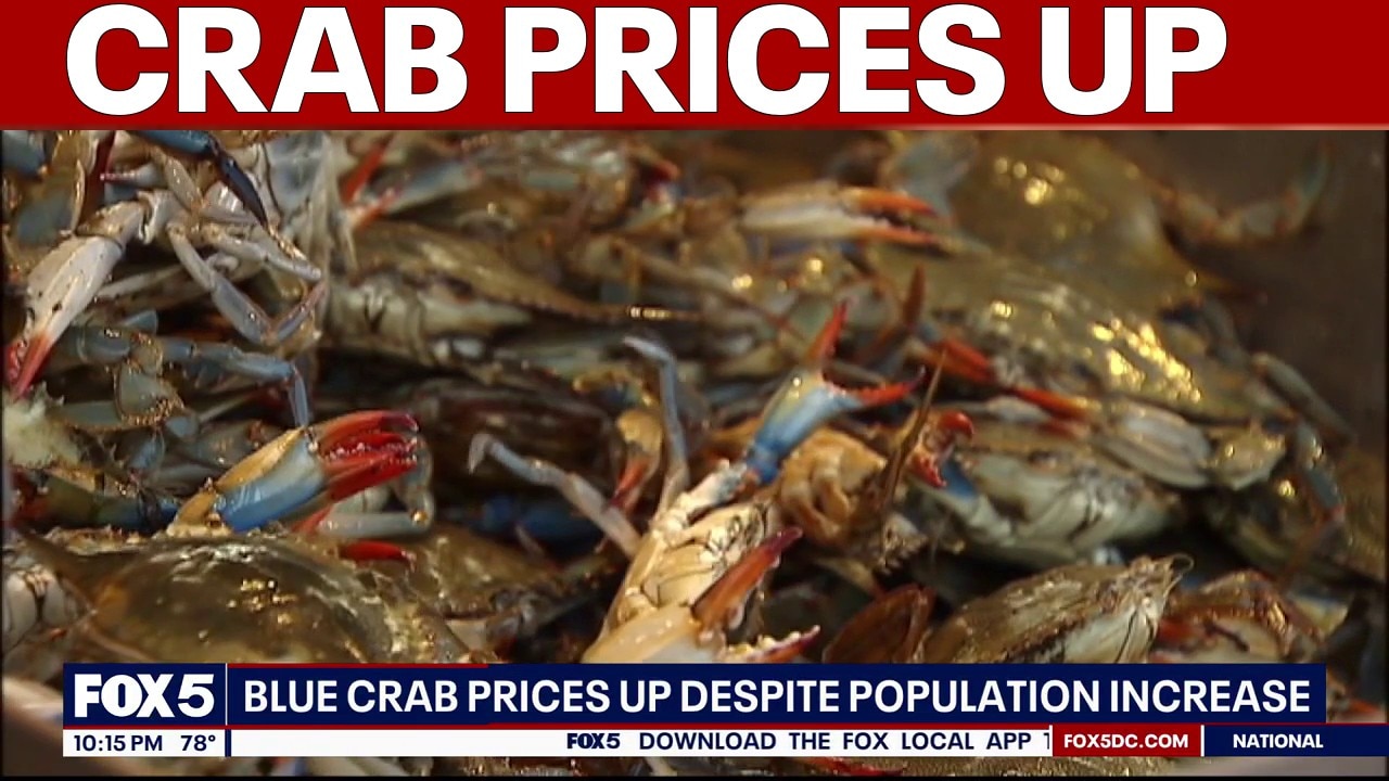 Crab prices up despite population increase