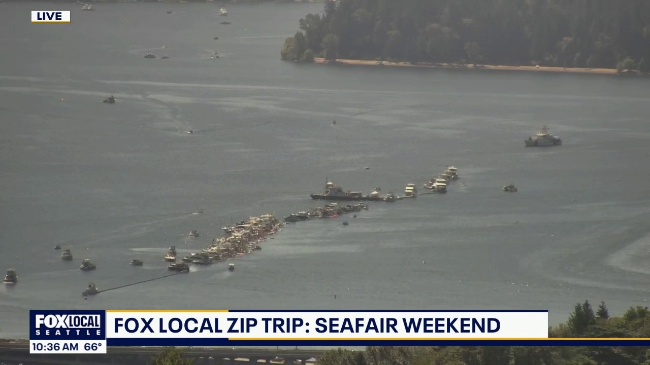 Zip Trips: Why 2026's log boom on Lake Washington is better than the rest