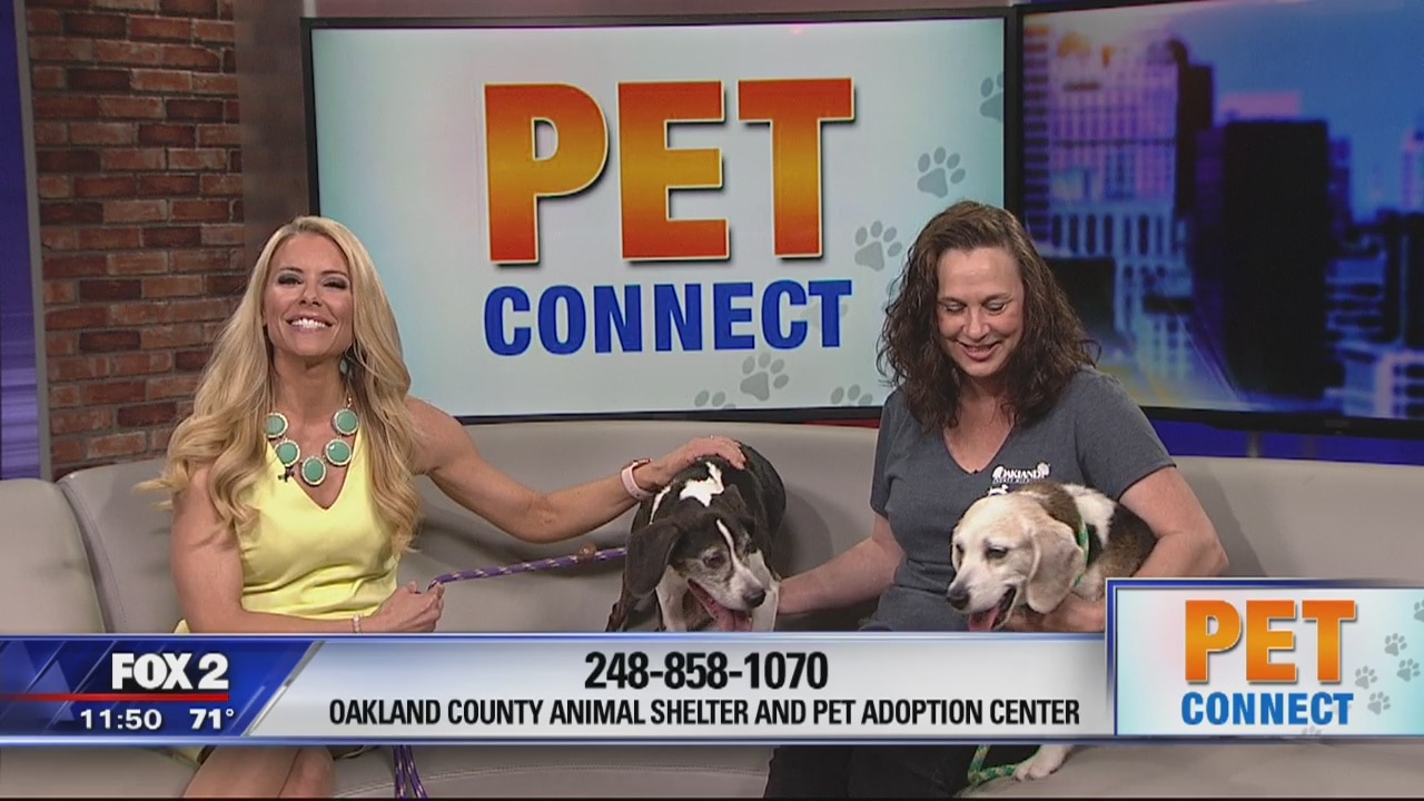 Pet Connect for May 1
