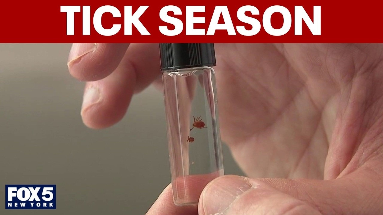 How troublesome will ticks be this summer?