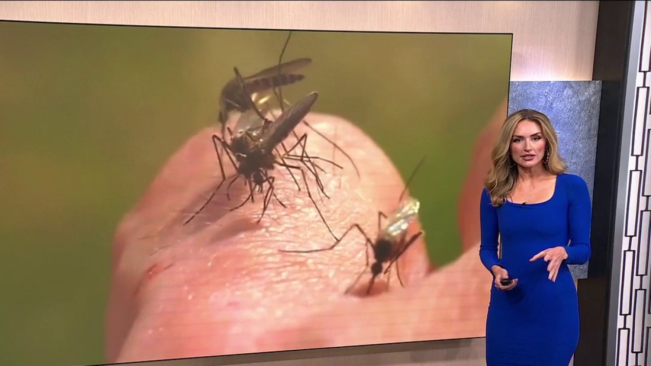 Cook County confirms first human West Nile virus cases of season