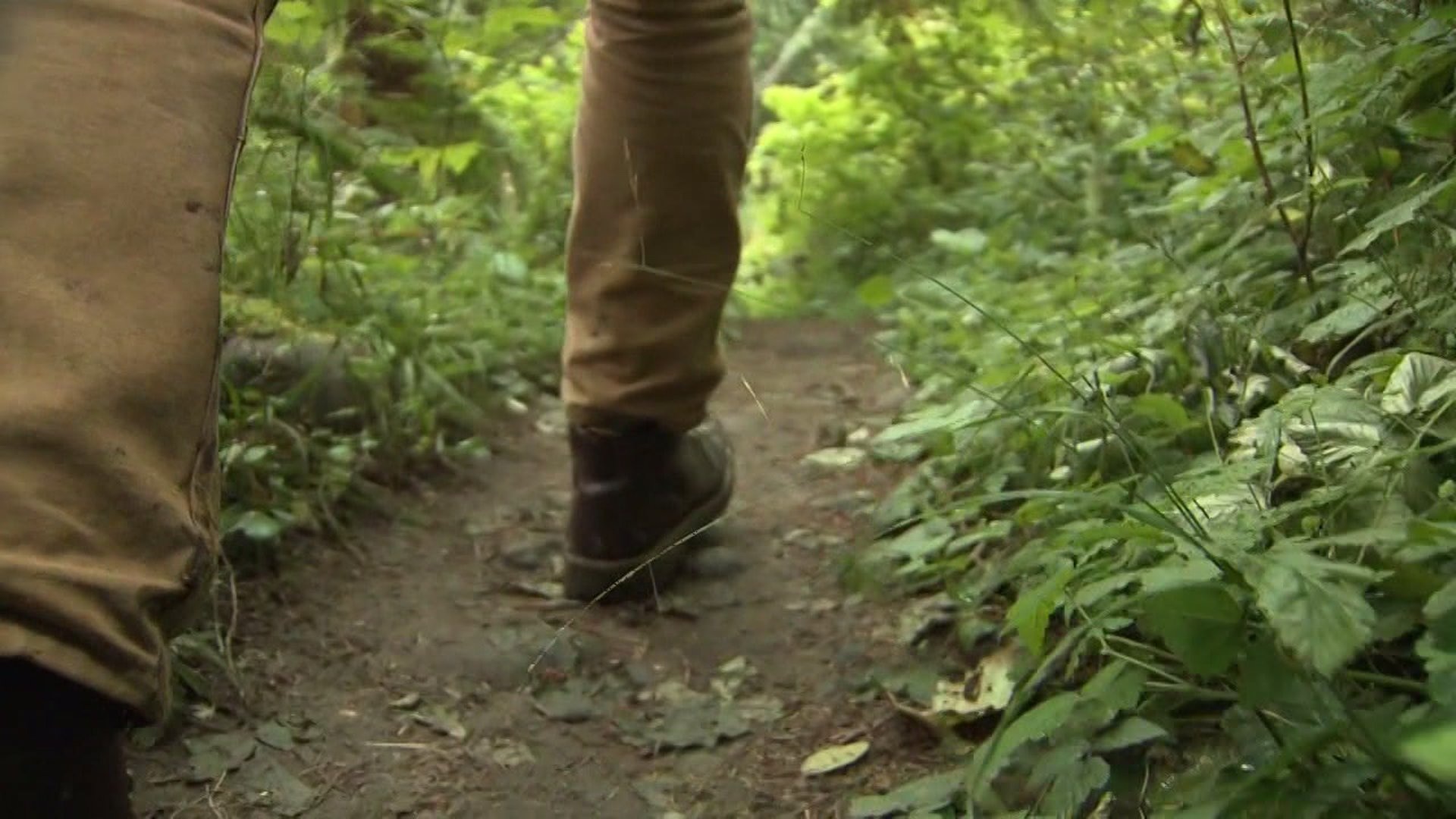 Hiking safety