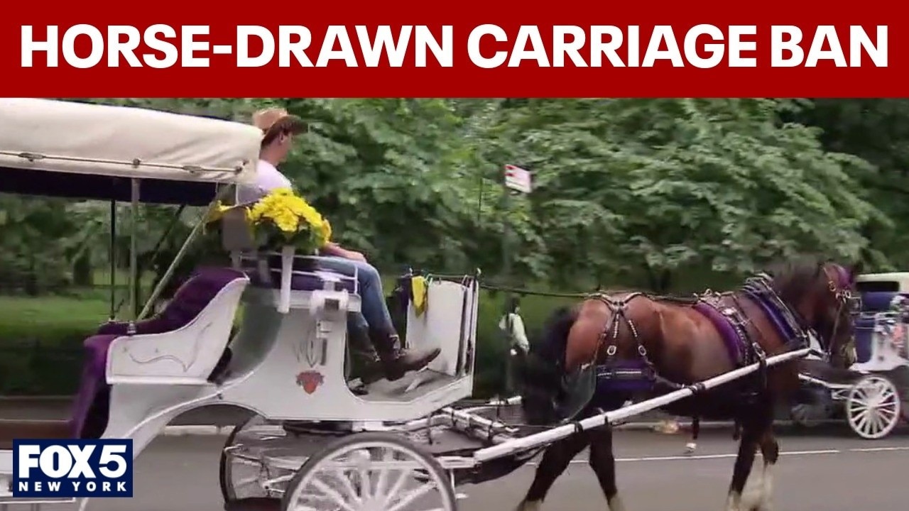 NYC Council votes to ban horse-drawn carriages 