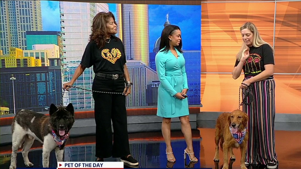 Pet of the day: Tortilla & Lainey