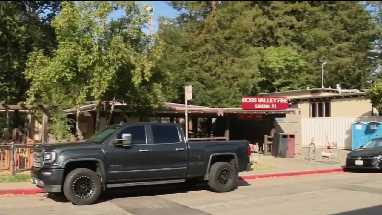 Fairfax flea infestation spreads to fire station