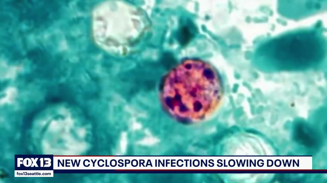 New cyclospora infections down as salmonella cases rise