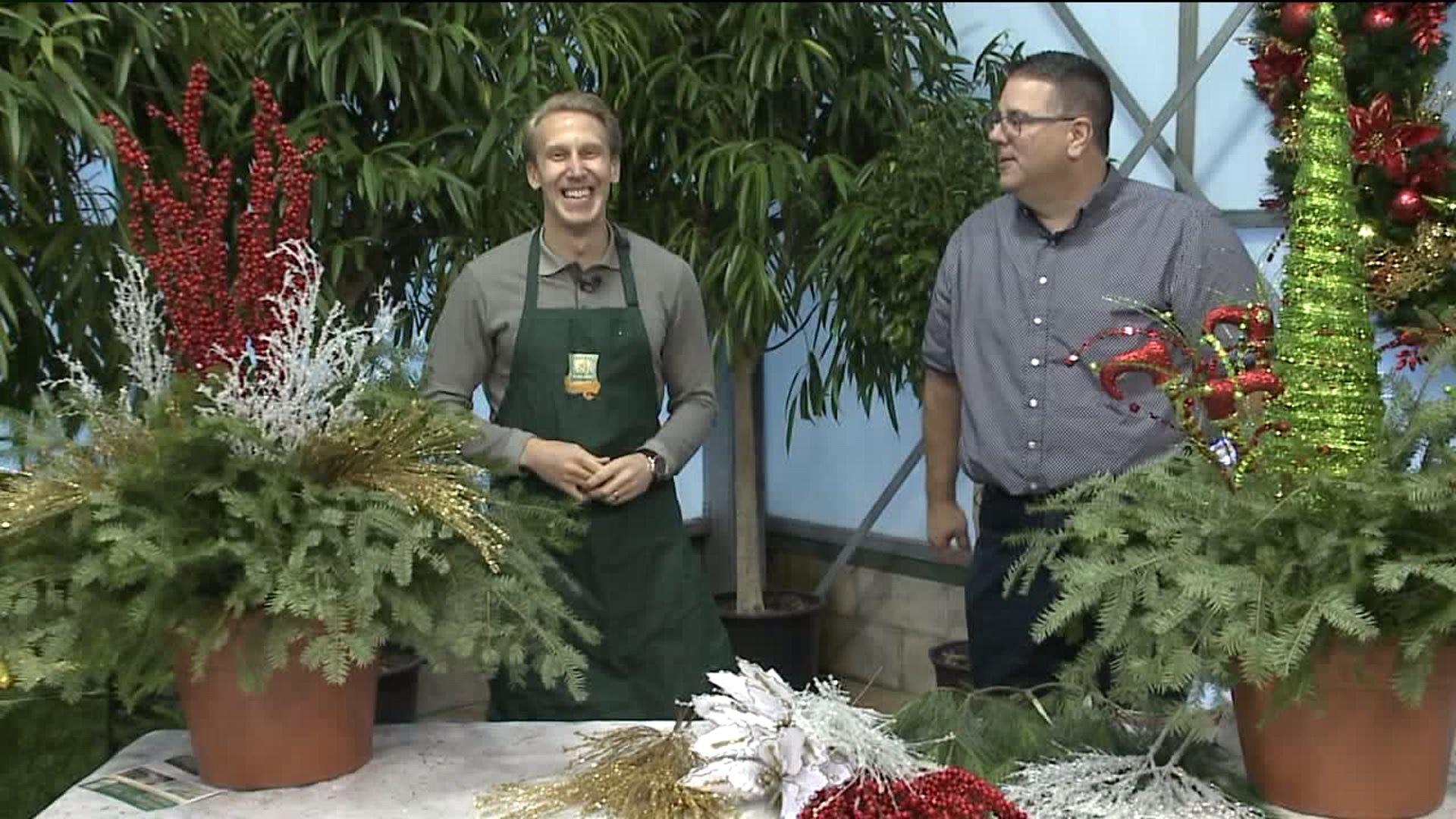 Spruce up outdoor plants