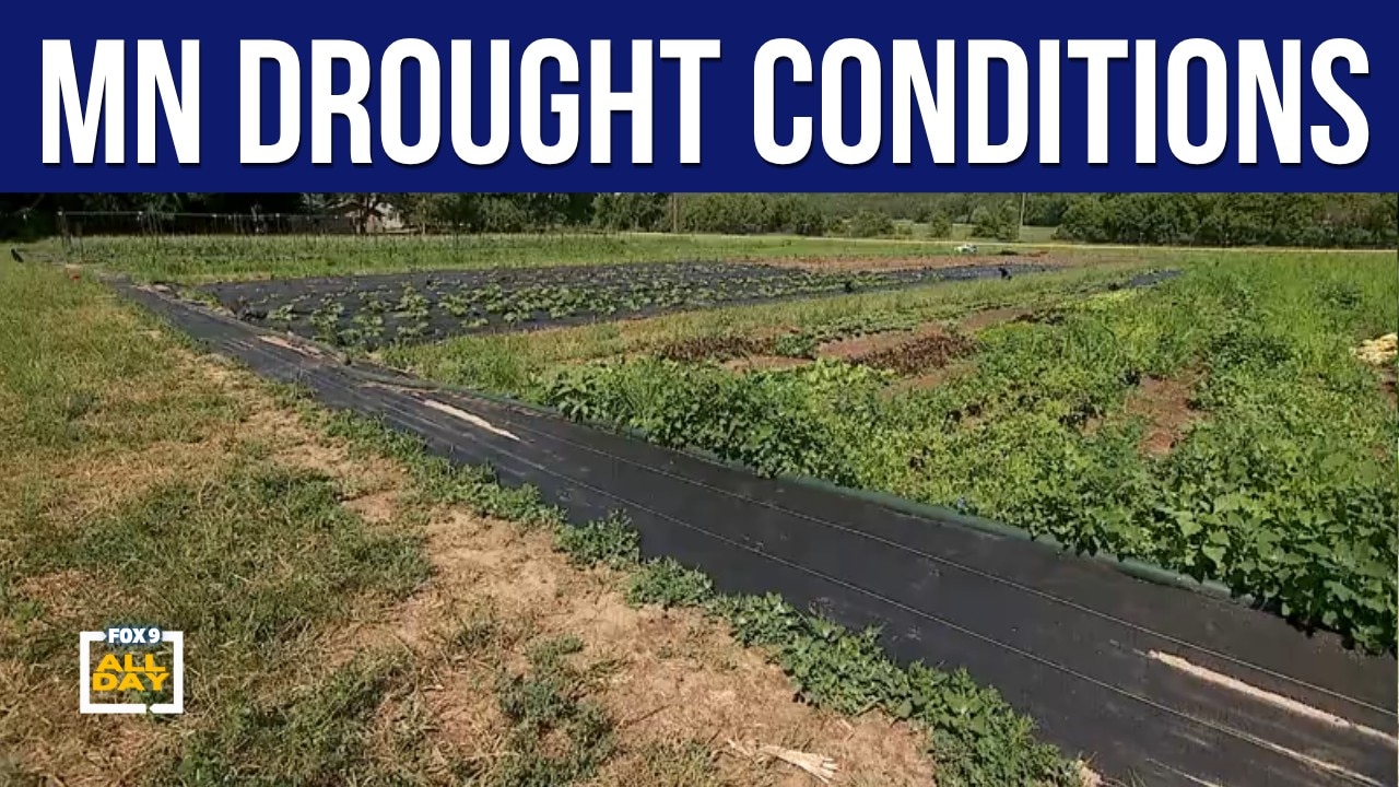 Dry conditions spread across Minnesota