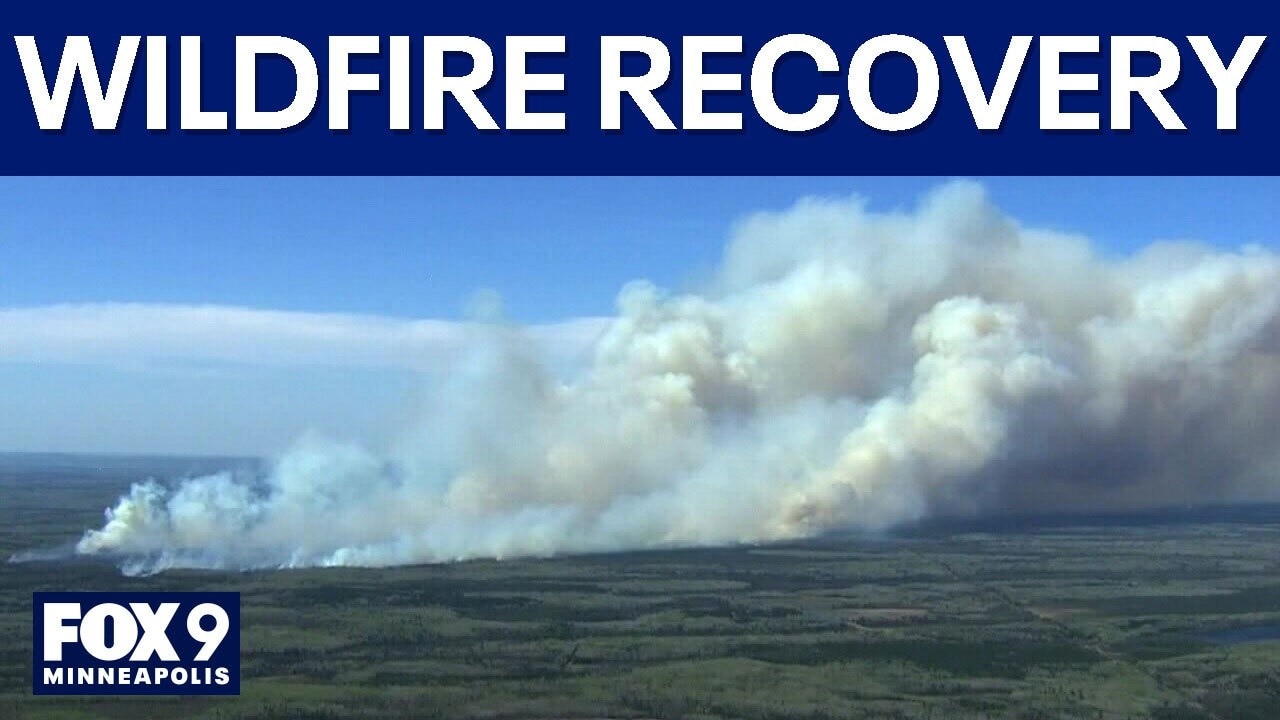 Reforesting after the Camphouse Fire
