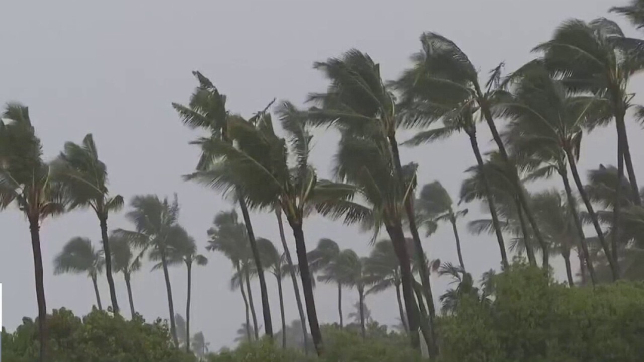 Hurricane Lowell leaves trail of damage across Hawaii