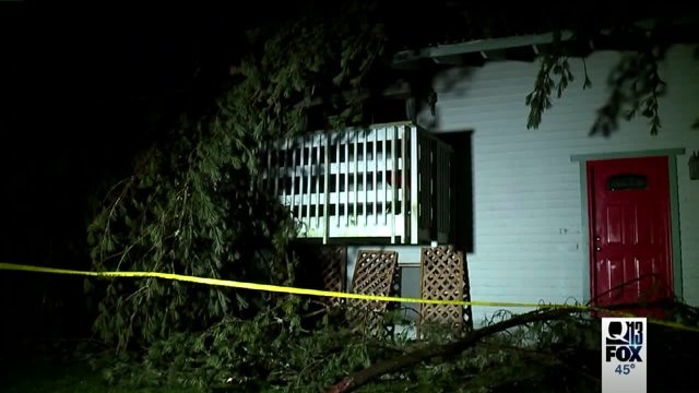 Tree falls on family home, injuring mother