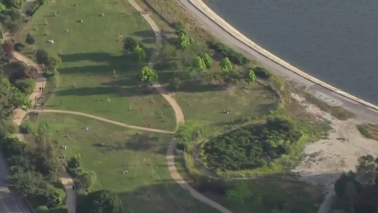 'Silver Lake groper' on the prowl