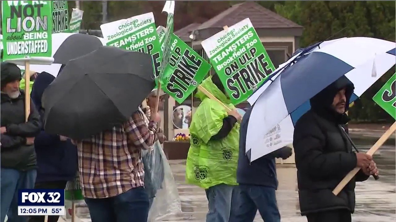 Brookfield Zoo strike enters second day as contract talks stall