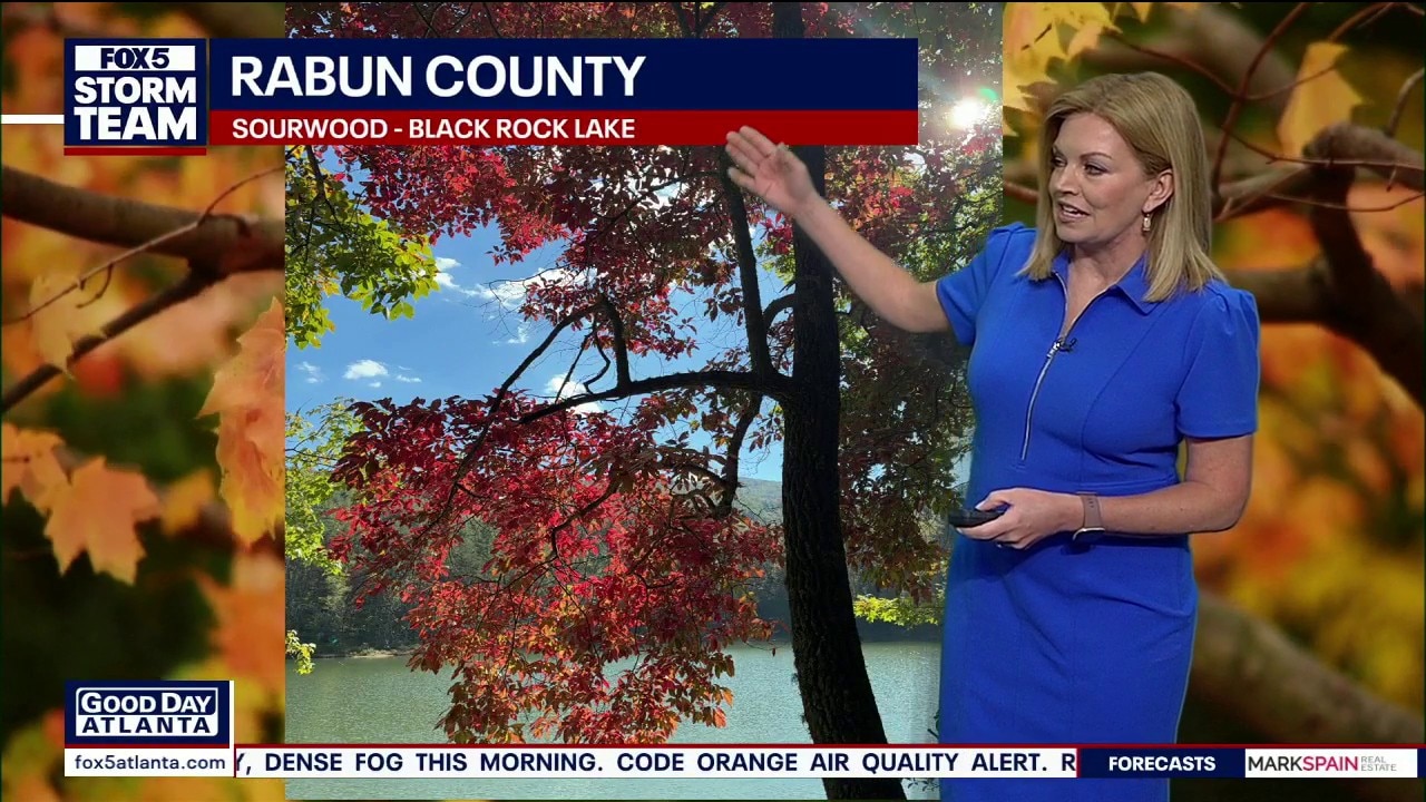 Leaf Watch 2026: Cooler Nights Set the Stage for Color