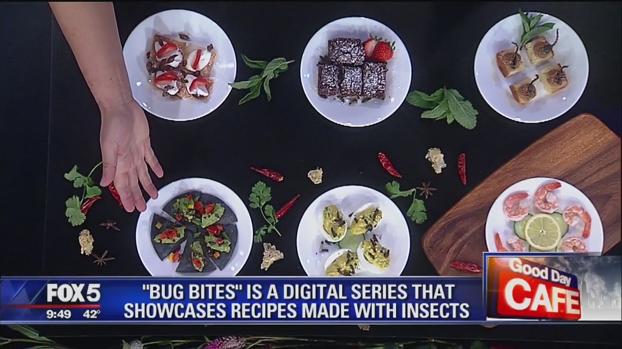 Good Day Cafe: Eating Insects